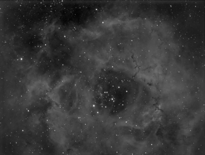 Ray Fortner’s image of the Rosette Nebula, an emission nebula about 5,000 light years away. 